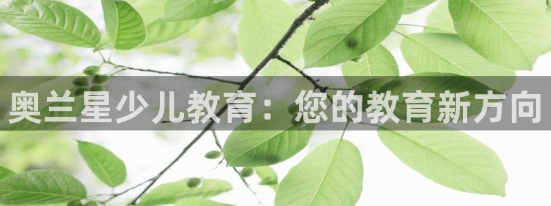 必一体育全站在线登录入口