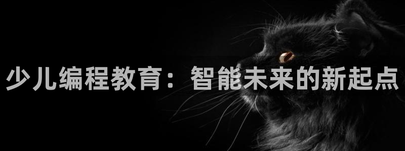 必一体育在线入口