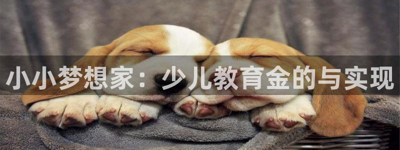 必一体育手机下载