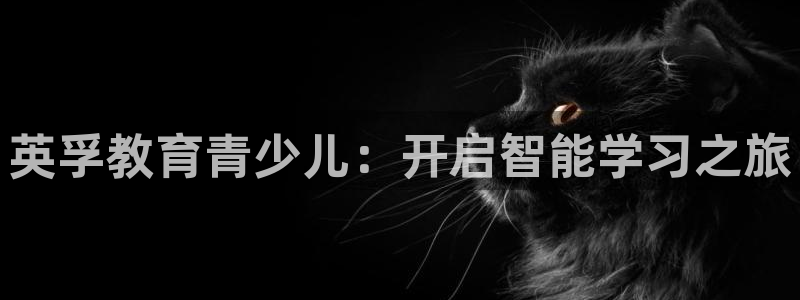 必一体育app官方正版下载