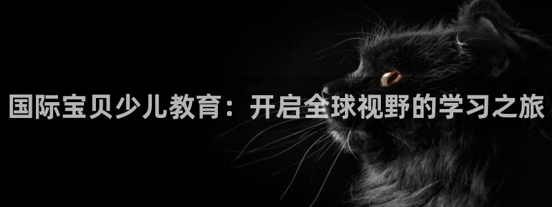 必一体育游戏特色