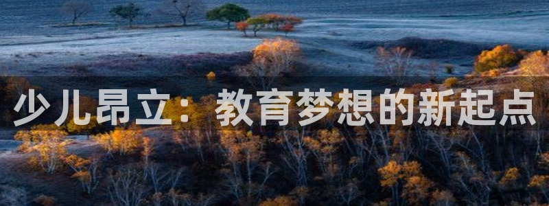 必一体育sport官网