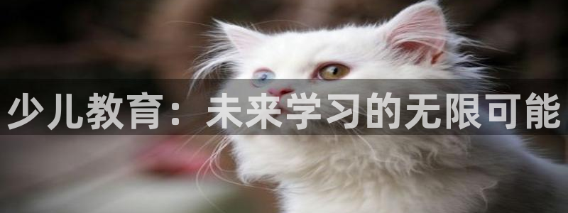 必一体育官方下载入口