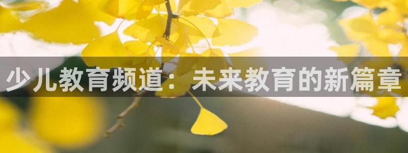 必一体育在线官网