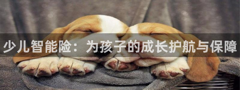 必一体育app官方