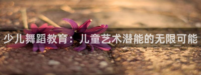 必一运动体育官网