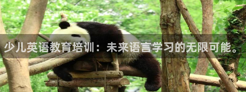 必一体育官网app