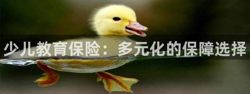 必一体育全站在线登录入口