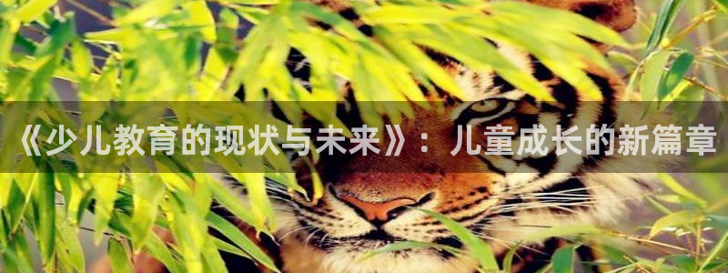 必一体育官方网站入口