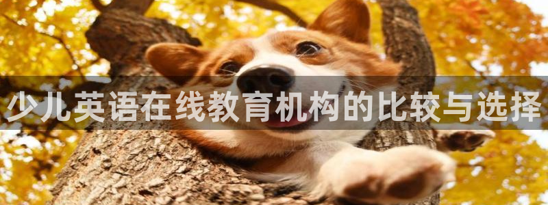 必一体育下载一样吗