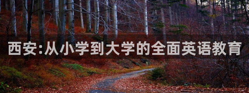 必一体育app官方下载入口