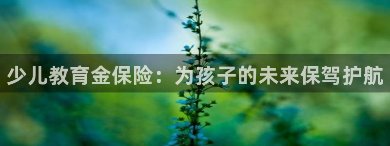 必一体育官方网站入口