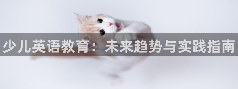 必一体育在线入口