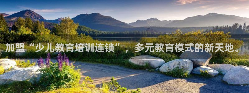 必一体育下载移动版