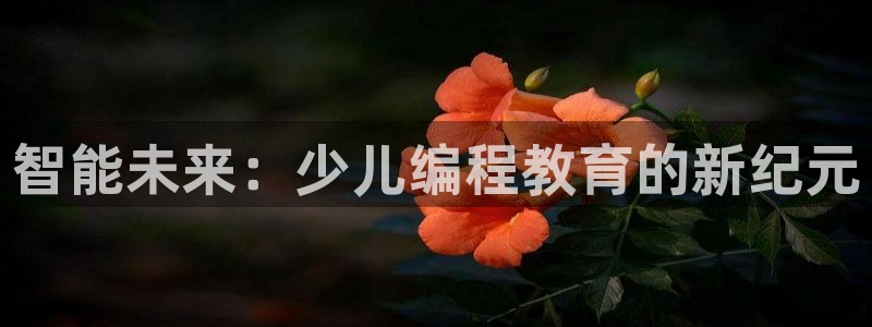 必一体育官方下载入口