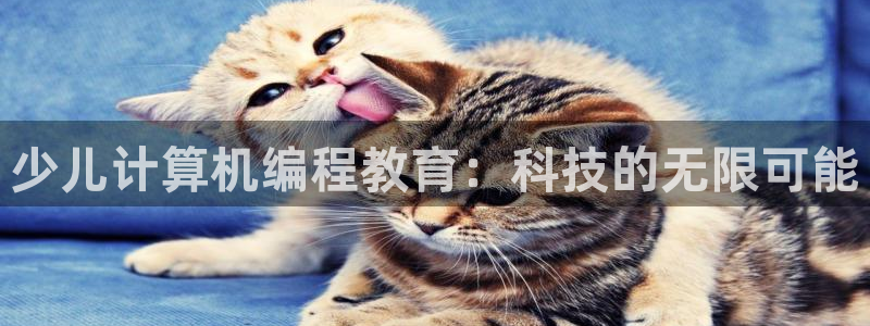 必一运动B-Sport官方网站入口