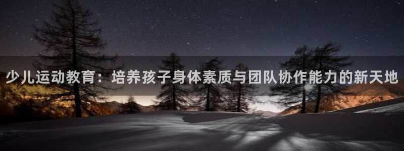 必一体育运动平台官网