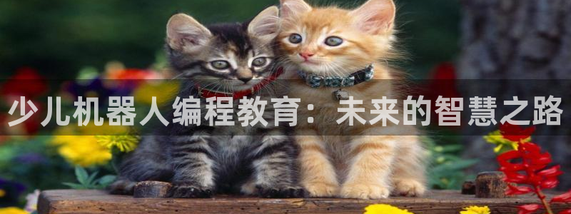 必一体育登录入口