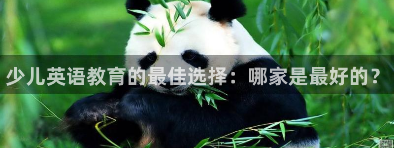 必一体育官方下载