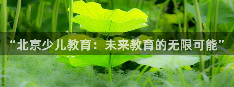 必一体育下载一样吗