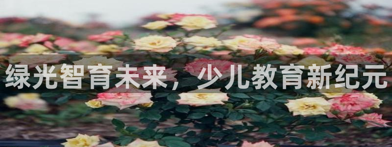 必一体育sportB体育