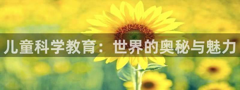 必一体育sportB体育