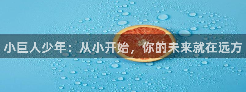 必一体育下载一样吗