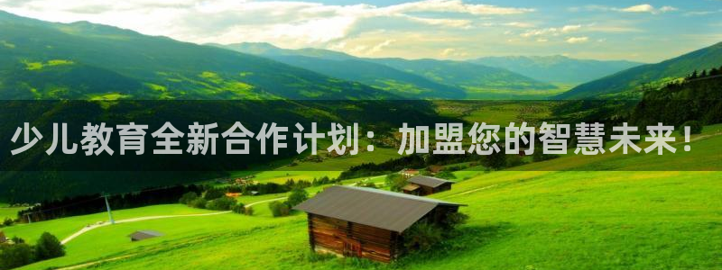 必一体育官网网址