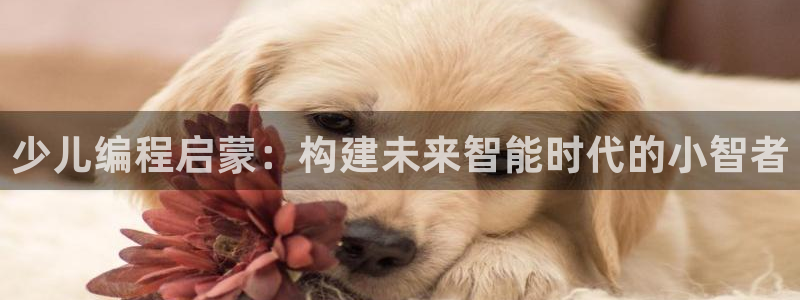 必一体育官网网站