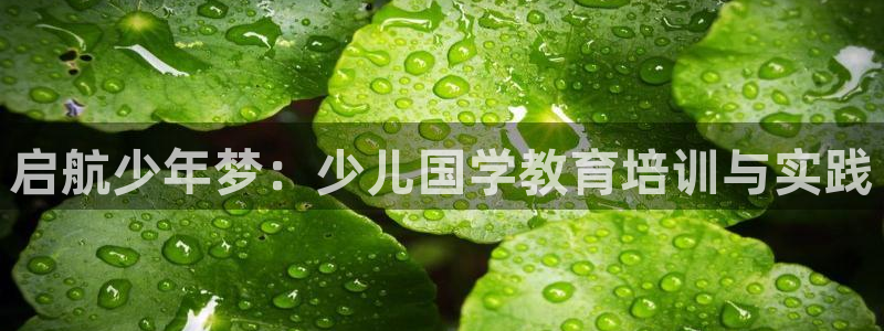 必一体育全站在线登录入口