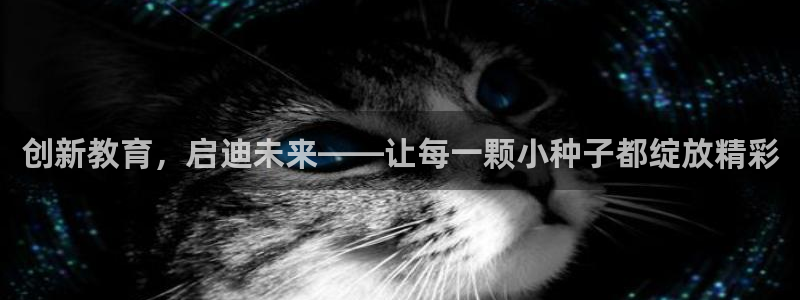 必一体育官方下载入口