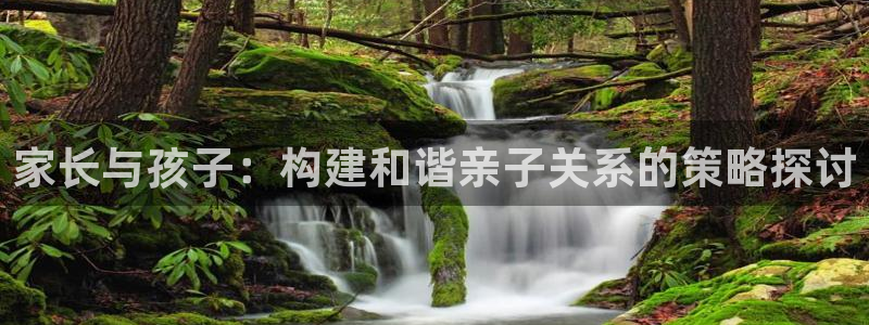 必一体育网页版登录