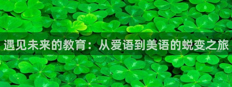 必一体育官网app