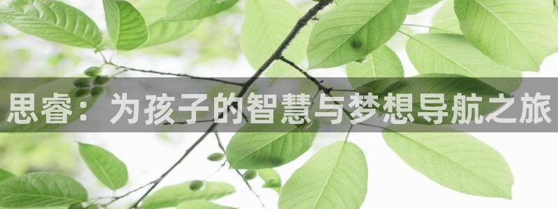 必一体育官网网址