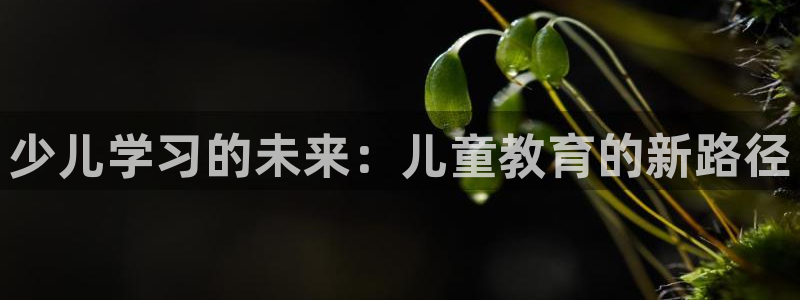 必一体育sport下载