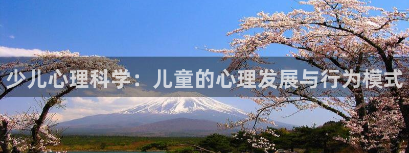 必一体育app下载安装