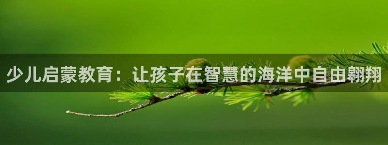 必一体育官方app下载