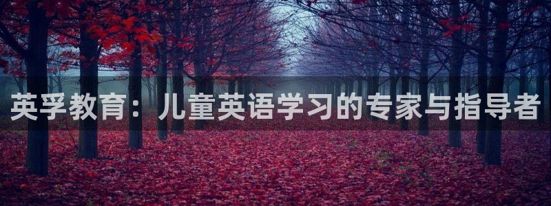 必一运动验证码