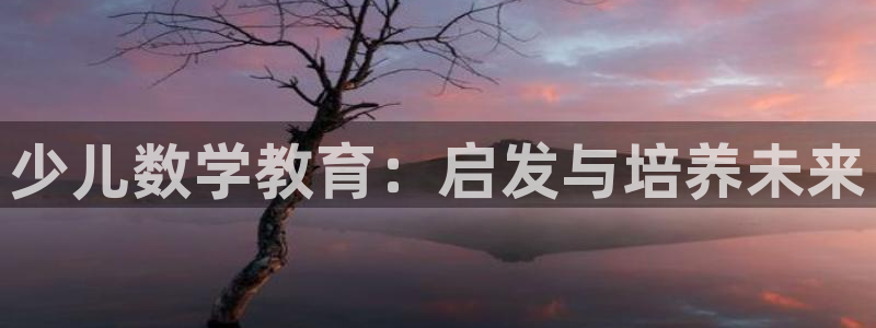 必一体育sportB体育