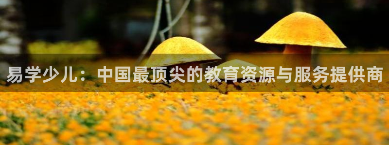 必一体育登录入口APP