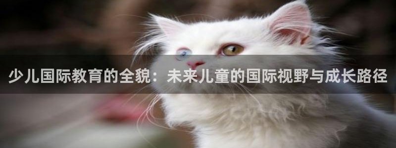 必一体育app官方正版下载