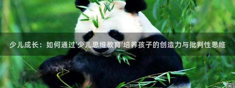 必一运动·(B-Sports)土豆