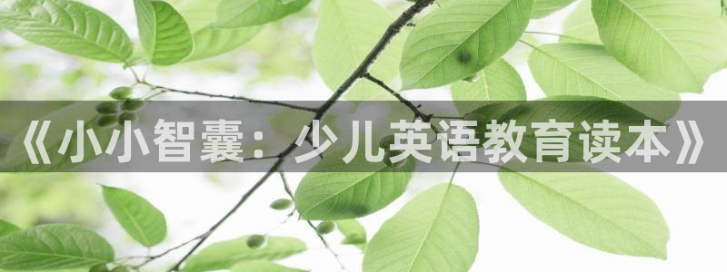 必一体育网页登录版官网