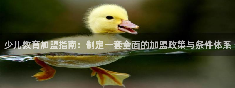 必一体育黑平台