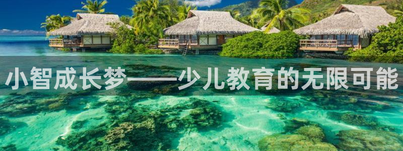 b体育必一运动网页版在线登录入口