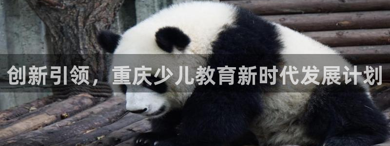 必一体育在线入口