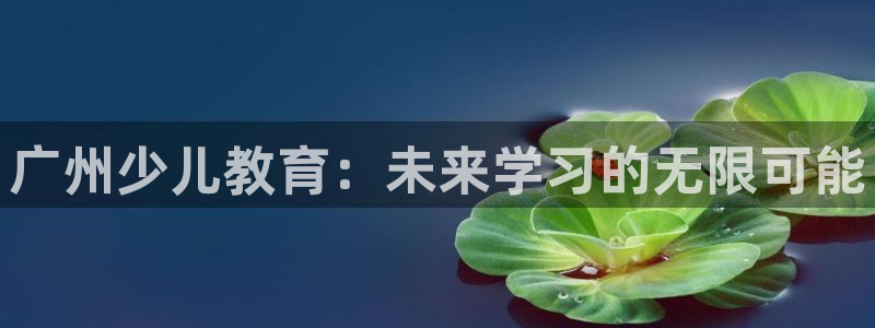 必一体育全站在线登录入口