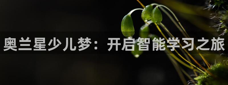 必一体育登录入口APP