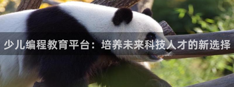 必一体育没了