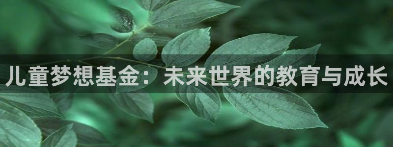 b体育必一下载